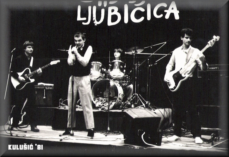 Stidljiva Ljubičica